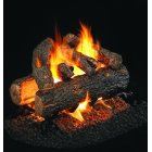 Real Fyre Golden Oak See-Thru Vented Log Set