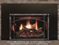 Rushmore 35 TruFlame Direct Vent Fireplace Insert