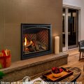 Meridian 42" Direct Vent Fireplace by Majestic