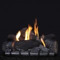 24 Inch Wildwood Outdoor Gas Log Set Remote Ready