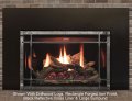 Rushmore 30 TruFlame Direct Vent Fireplace Insert