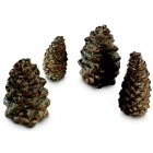 Assorted Pine Cone Kit For Gas Fireplaces