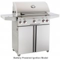 American Outdoor Grill 30" Portable With Rotisserie & Side Burner