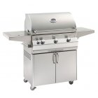 Fire Magic Aurora A540s Portable Grill With Side Burner