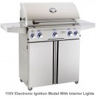 American Outdoor Grill 30" Portable With Rotisserie & Side Burner