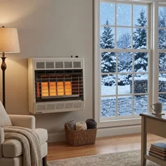 Gas Space Heaters (image for) Gas Space Heaters