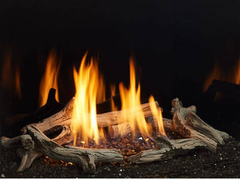 Majestic Driftwood Logs